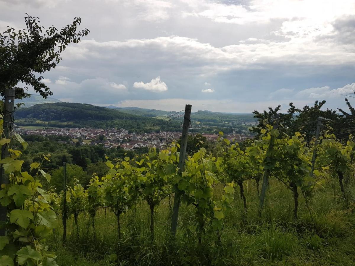 Ferienwohnung Burgblick Im Neuffener Tal Mit Sauna Und Wallbox Frickenhausen  Экстерьер фото
